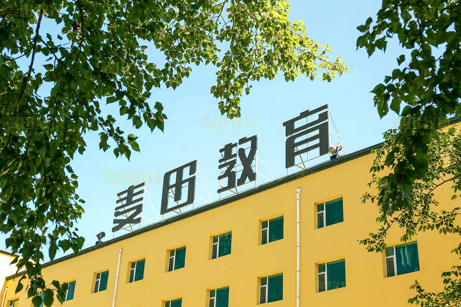 长春高考全日制学校排名，麦田学校